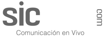 Partner 7
